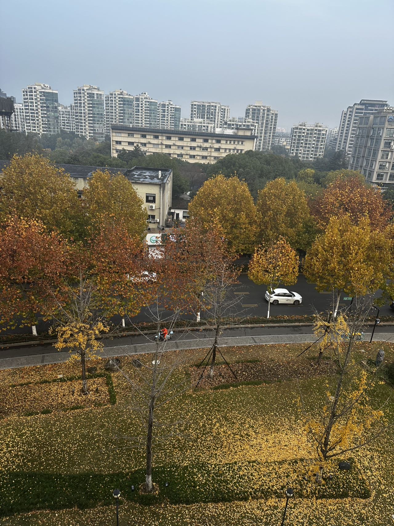 展示图